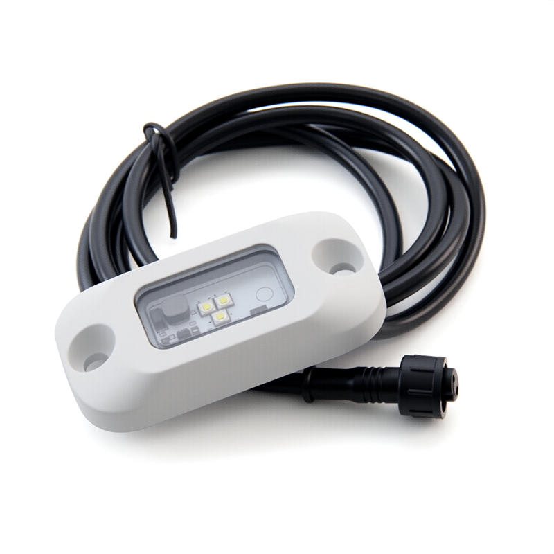 LED Rock Light for 4WD Underglow, Roof Racks and Campers 10V ~ 30V DC